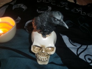skull+crow